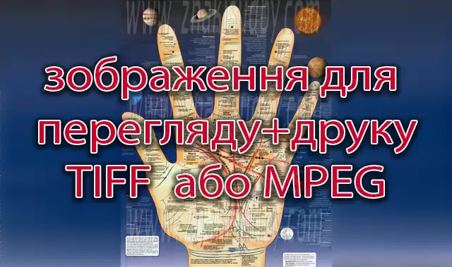 PDF